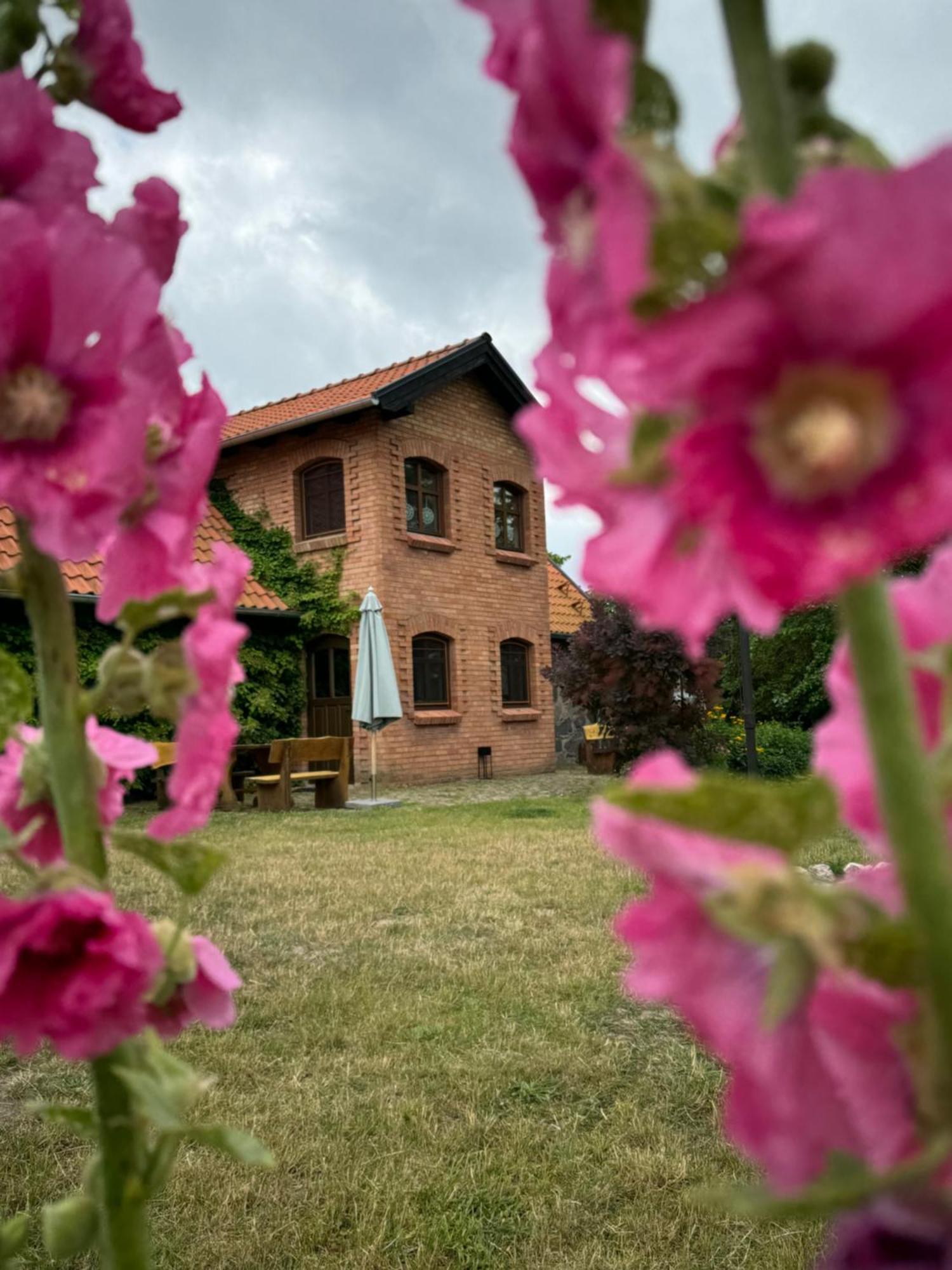 Willa Siedlisko na Górce Zalec Zewnętrze zdjęcie